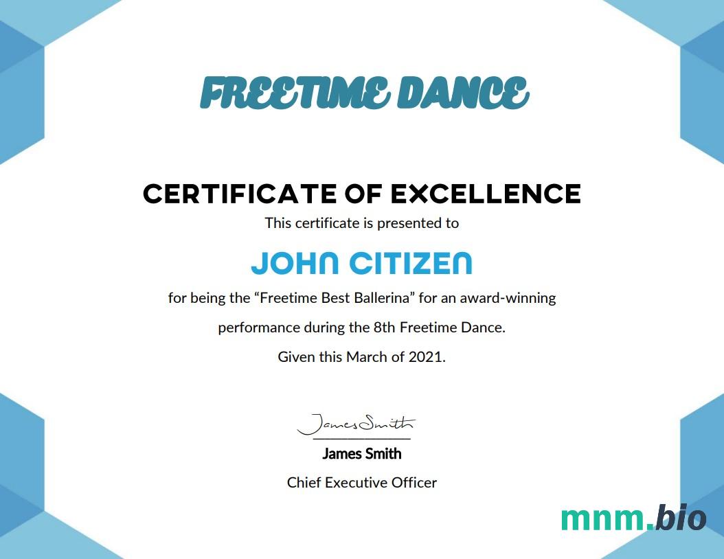 USA Best Performance Cert